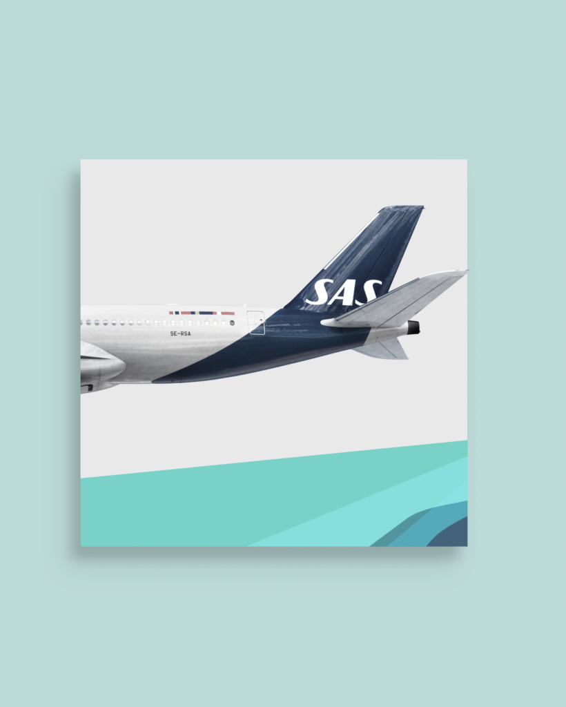 SAS Ready Entry – Level 1: Initial Screening (Cut-E / AON)