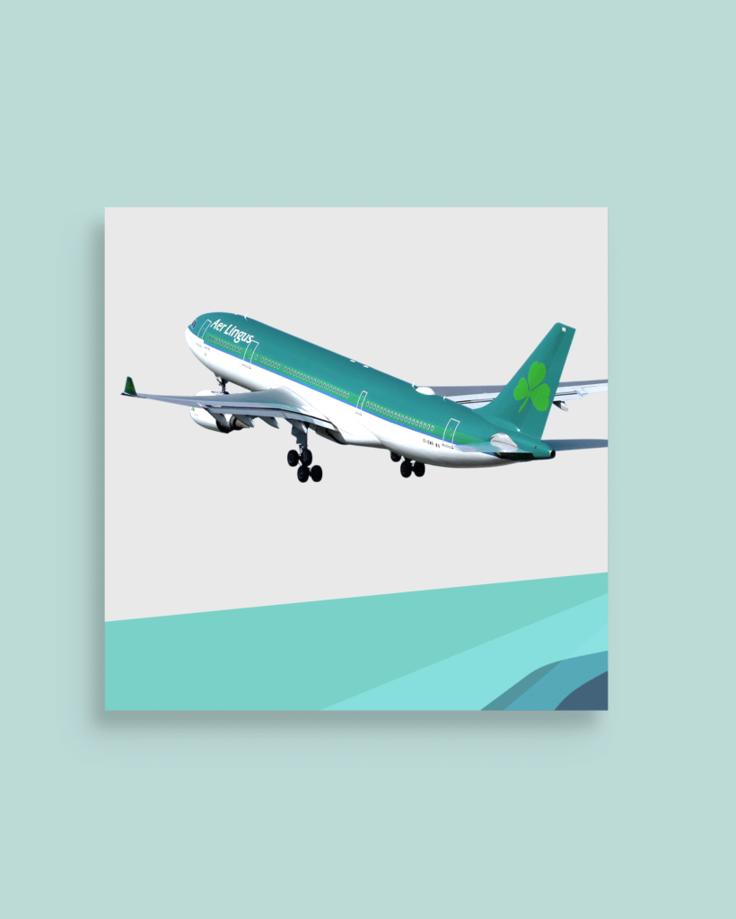 Aer Lingus Cut-E / Aon Online-Tests-Bundle